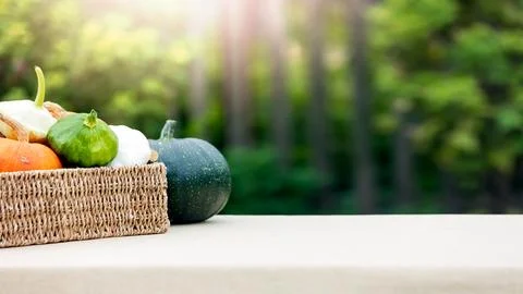 Autumn background. A set of vegetables on the background of garden greenery and Stock Photos