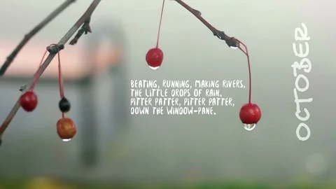 Аutumn background with small apples 2 Video stock 117345062