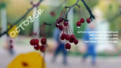 Аutumn background with small apples 4 Video stock 117345121