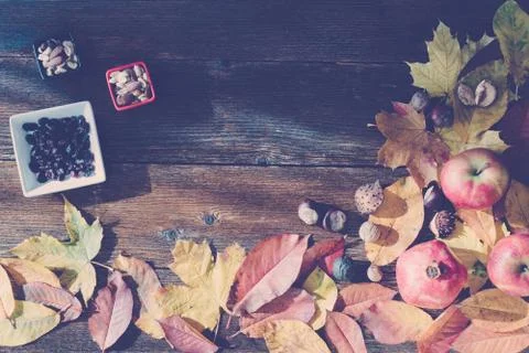 Autumn background, space for text Stock Photos