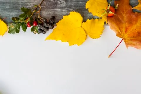 Autumn background with space for text. Theme of the harvest festival. Festive Stock Photos