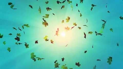 Autumn background swirling falling maple leaves bright rays the sun Stock Footage 142933881