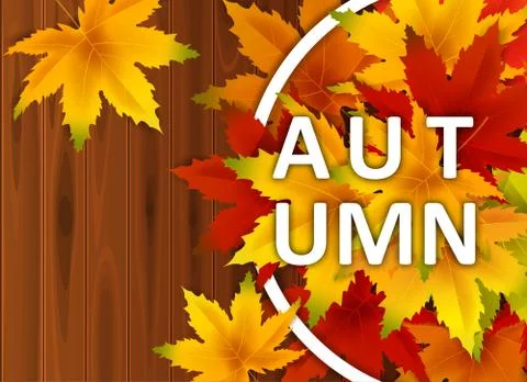 Autumn Background Template, with falling bunch of leaves on wooden boards Stock Illustration