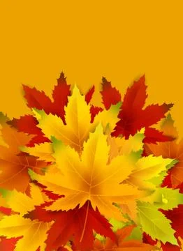 Autumn Background Template, with falling bunch of leaves, shopping sale or Stock Illustration