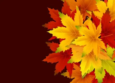 Autumn Background Template, with falling bunch of leaves, shopping sale or Stock Illustration