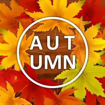 Autumn Background Template, with falling bunch of leaves on wooden boards Stock Illustration