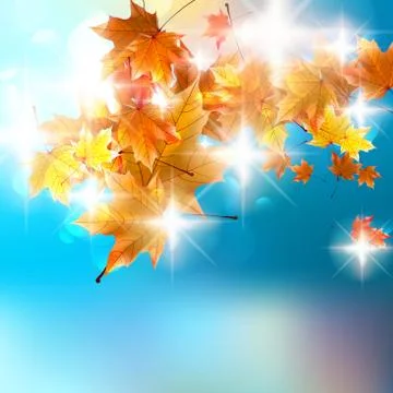 Autumn background template. Stock Illustration