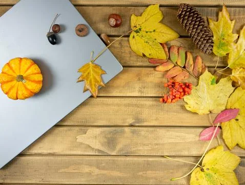 Autumn background texture with yellow maple leaves, pine cone, small pumpki.. Stock Photos