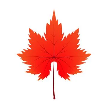 Autumn background for text.Vector illustration Illustration