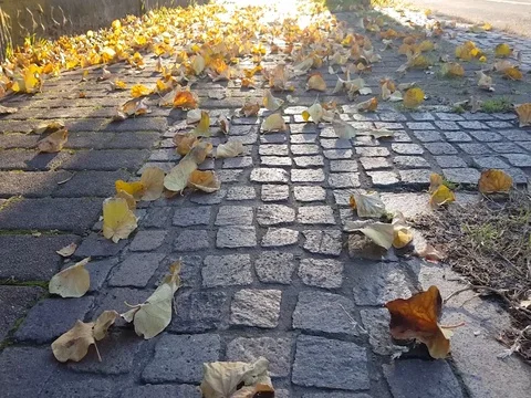 Autumn background in town Stock Footage 83014199