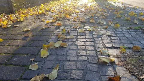Autumn background in town Stock Photos