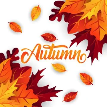 Autumn background vector with decorative leaves. Autumn fall Vector backgroun Stock Illustration