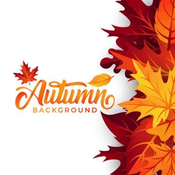 Autumn background vector with decorative leaves. Autumn fall Vector backgroun Illustrazione stock