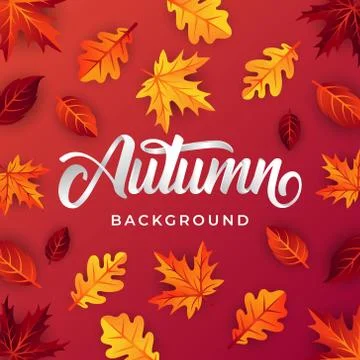 Autumn background vector with decorative leaves. Autumn fall Vector backgroun Stock Illustration