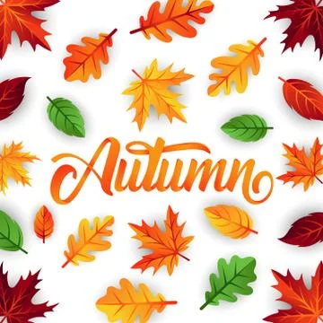 Autumn background vector with decorative leaves. Autumn fall Vector backgroun 스톡 일러스트