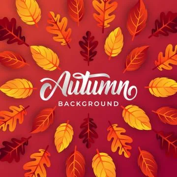 Autumn background vector with decorative leaves. Autumn fall Vector backgroun Illustrazione stock