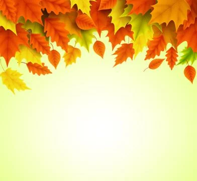 Autumn background vector template of orange and yellow maple leaves Stock Illustration
