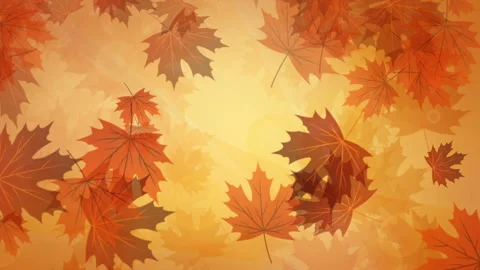 Autumn background with yellow leaves Stock Footage 116647023