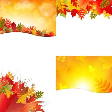 Autumn backgrounds with leafs Stock Illustration