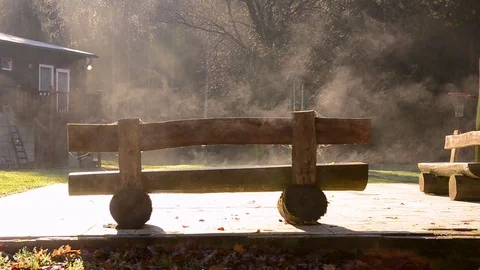 Autumn backyard bench Stock Footage 94743909