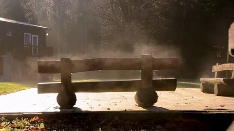 Autumn backyard bench Video stock 94997606