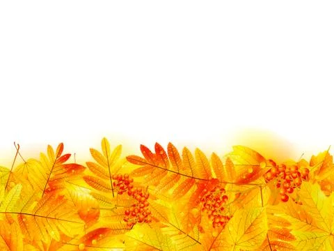 Autumn banner template with maple leaf. Stock Illustration
