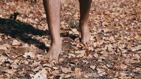 Autumn Barefoot Connection Stock Footage 293273523