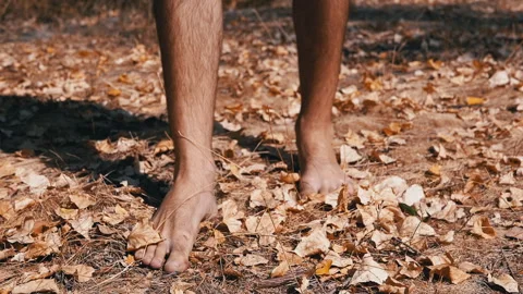 Autumn Barefoot Stroll Stock Footage 293280876