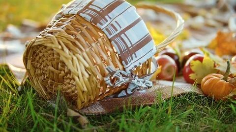 The autumn basket is on the grass Stock Footage 101079520