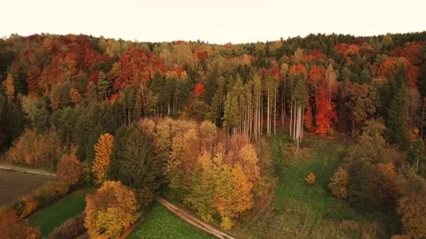 Autumn in Bavaria 動画素材 152807522