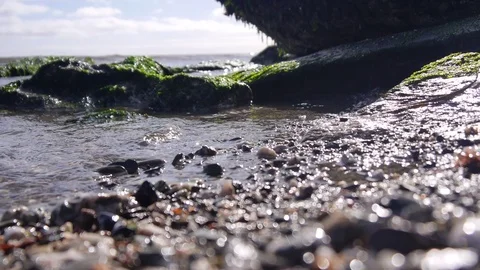 Autumn at the beach Stock Footage 80761483