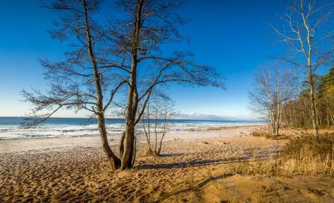 Autumn on the beach Stock Photos