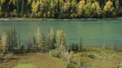 Autumn beach trees &amp; river Vidéo 599315