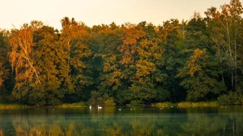 Autumn beautiful forest reflected in the water of the lake. Stock Photos