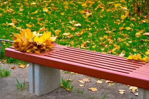 Autumn bench closeup Stock Photos