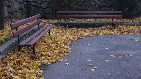 Autumn. The bench Stock Footage 104925997
