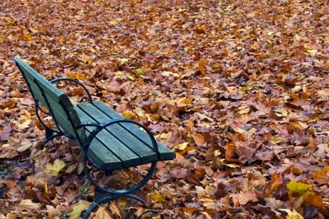 Autumn Bench 写真素材
