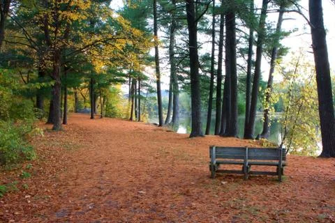 Autumn bench Stock Photos