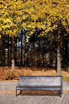 Autumn bench Stock Photos
