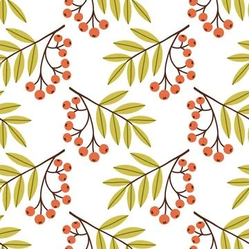Autumn berry seamless pattern. Fall isolated berries on white background. Square Stock Illustration