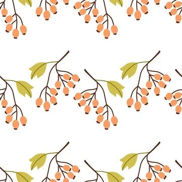 Autumn berry seamless pattern. Fall isolated berries on white background. Square Stock Illustration