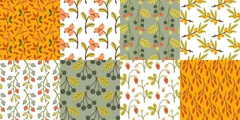 Autumn berry seamless pattern set. Fall berries on isolated background. Square 스톡 일러스트