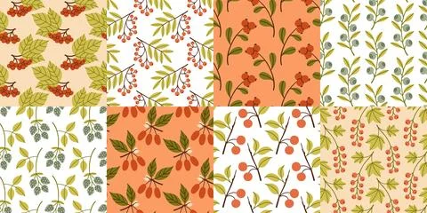 Autumn berry seamless pattern set. Fall berries on isolated background. Square Illustrazione stock
