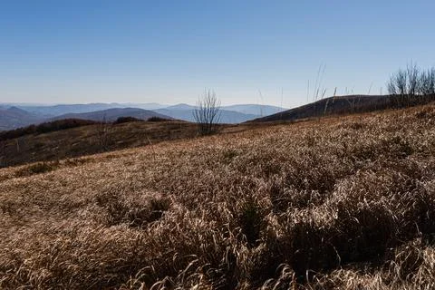 Autumn in Bieszczady Mountains, Poland. View from Mala Rawka Stock Photos