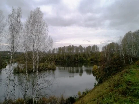 Autumn birch forest and the river view from the air Stock Footage 80553295