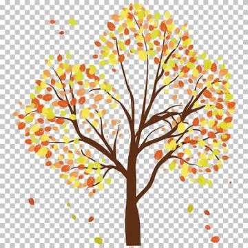 Autumn birch Stock Illustration