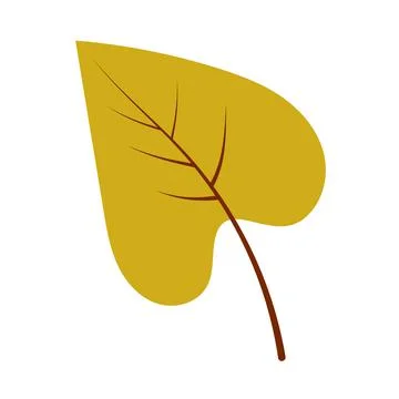 Autumn birch leaf Stock Illustration