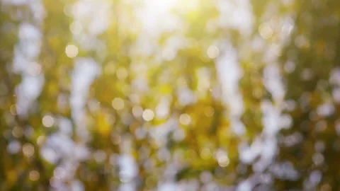 Autumn Blur Background Stock Footage 93175438