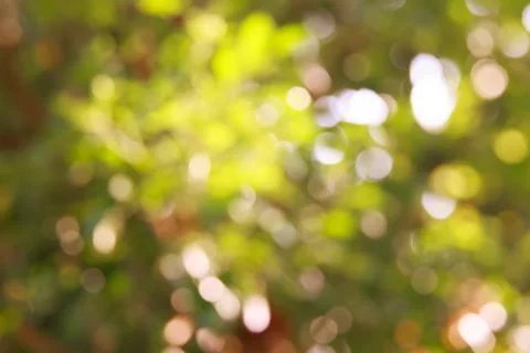 Autumn blurred background Stock Photos