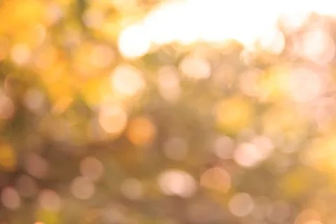 Autumn blurred background Stock Photos